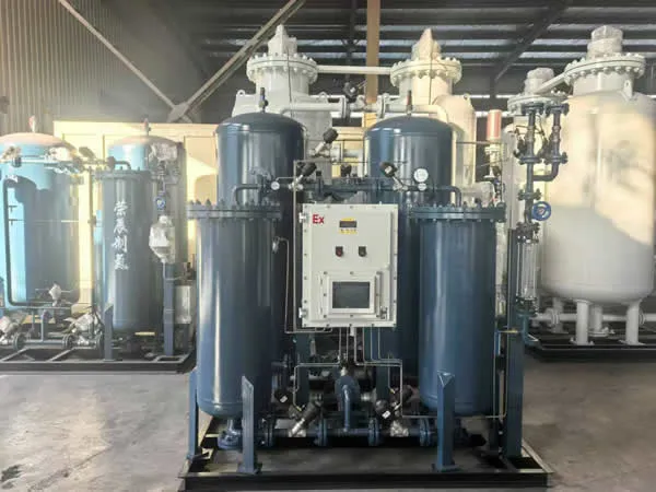 PSA Oxygen Generator